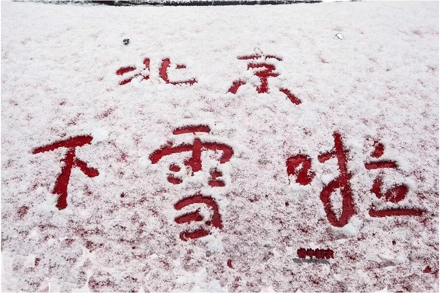 北京第一場雪景圖