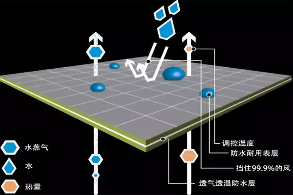 沖鋒衣廠家（睿牛制衣）